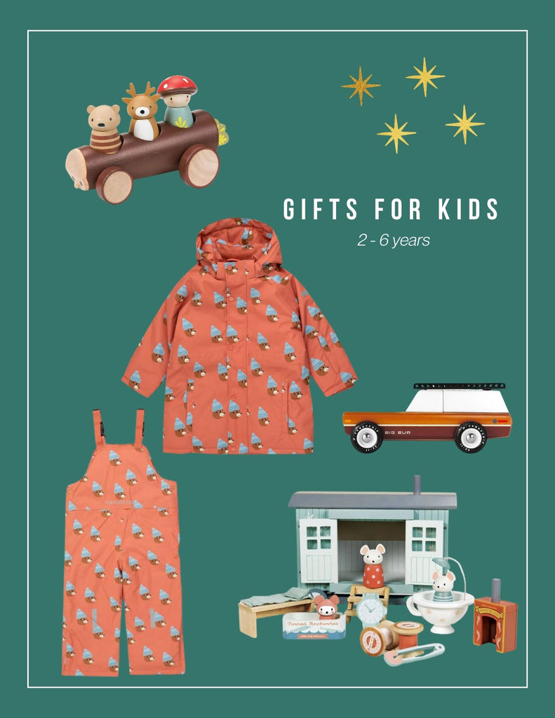 gifts for kids 2 - 6 years