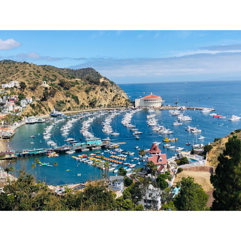 avalon, catalina island 