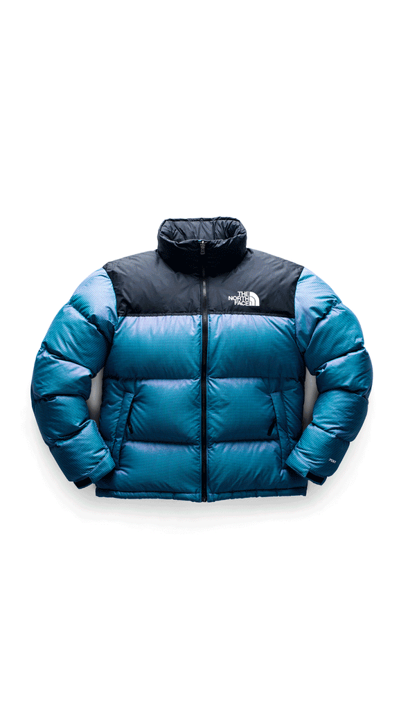 iridescent the north face