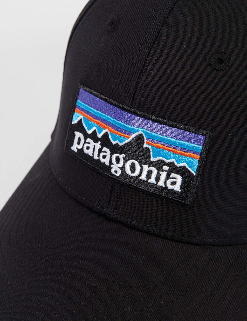 Patagonia 新品未使用品 FLEXFIT トラウト キャップ 6パネル キャップ