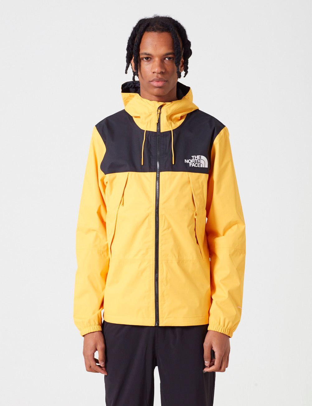 the north face 1990 mountain q