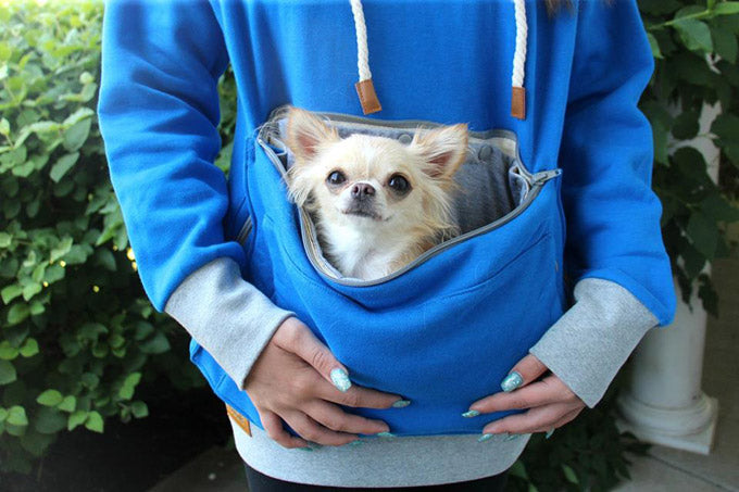 sweater with dog pouch
