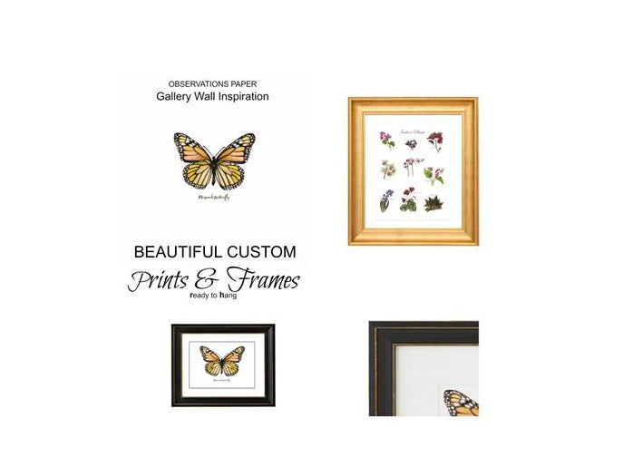 Prints & Frames by Observations Paper