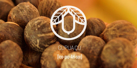 cupuaçu seeds ingredient feature image with pronunciation