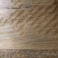 Heritage Maple Natural Finish