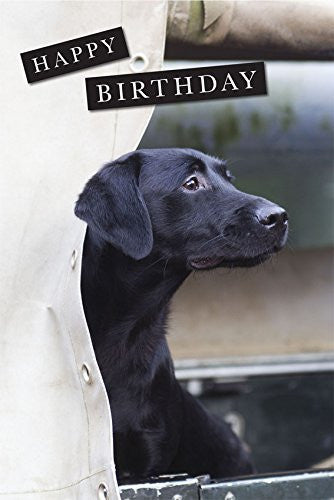 black labrador birthday