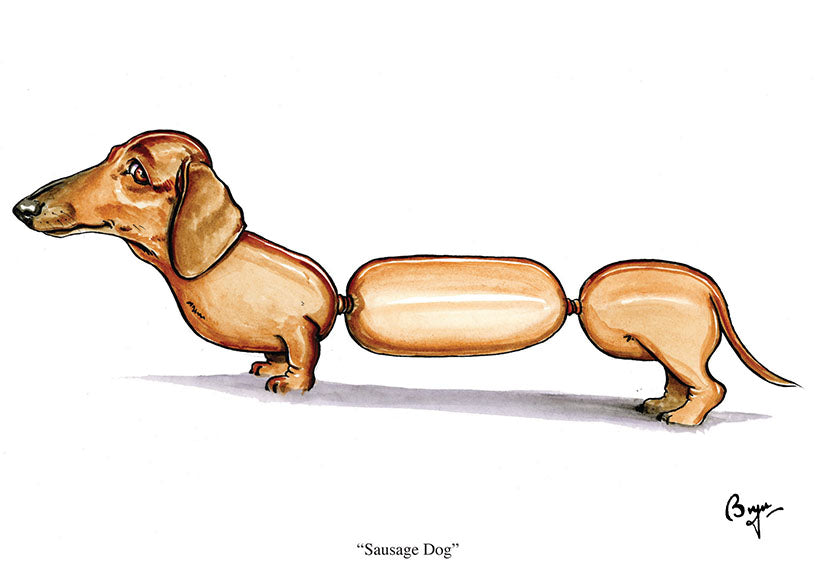 sausage dog