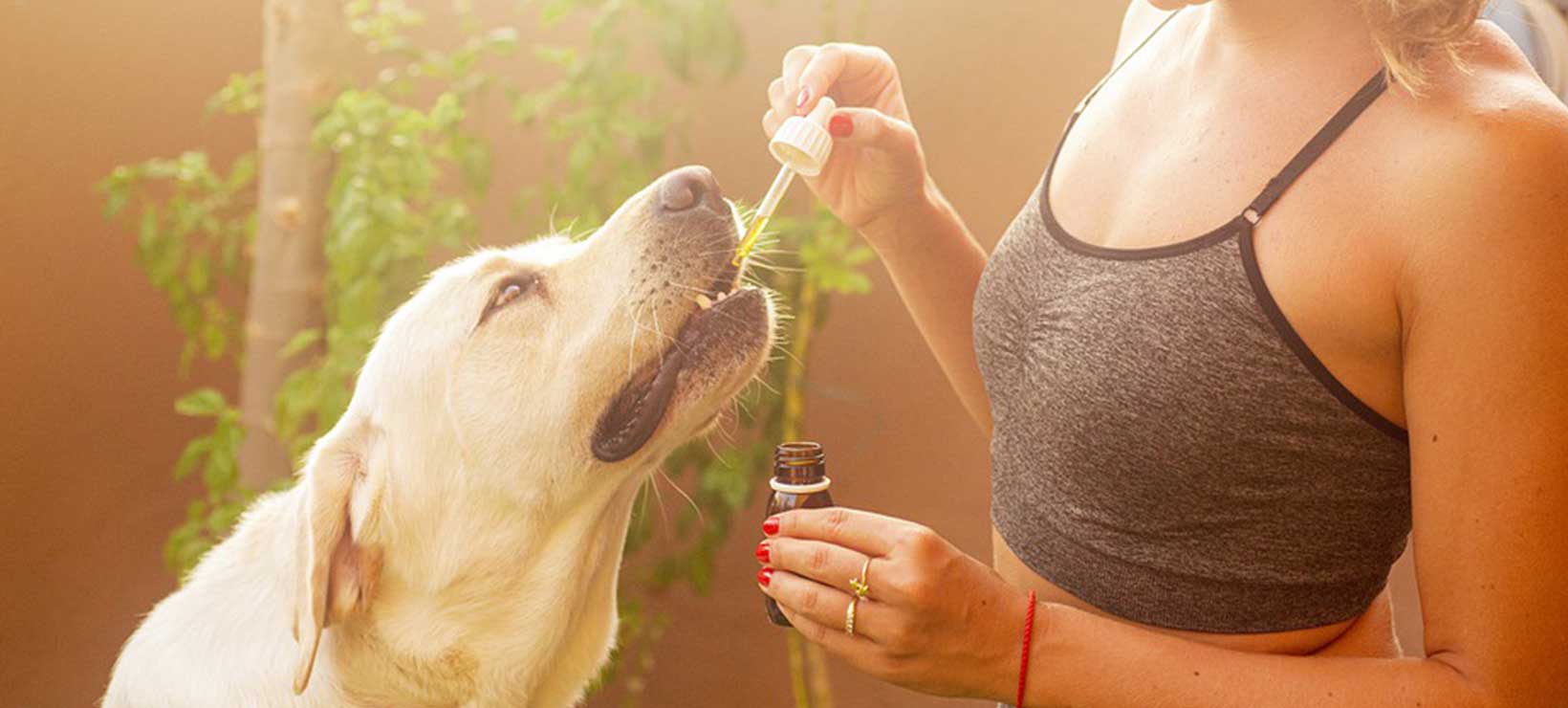 Girl Giving CBD to Dog