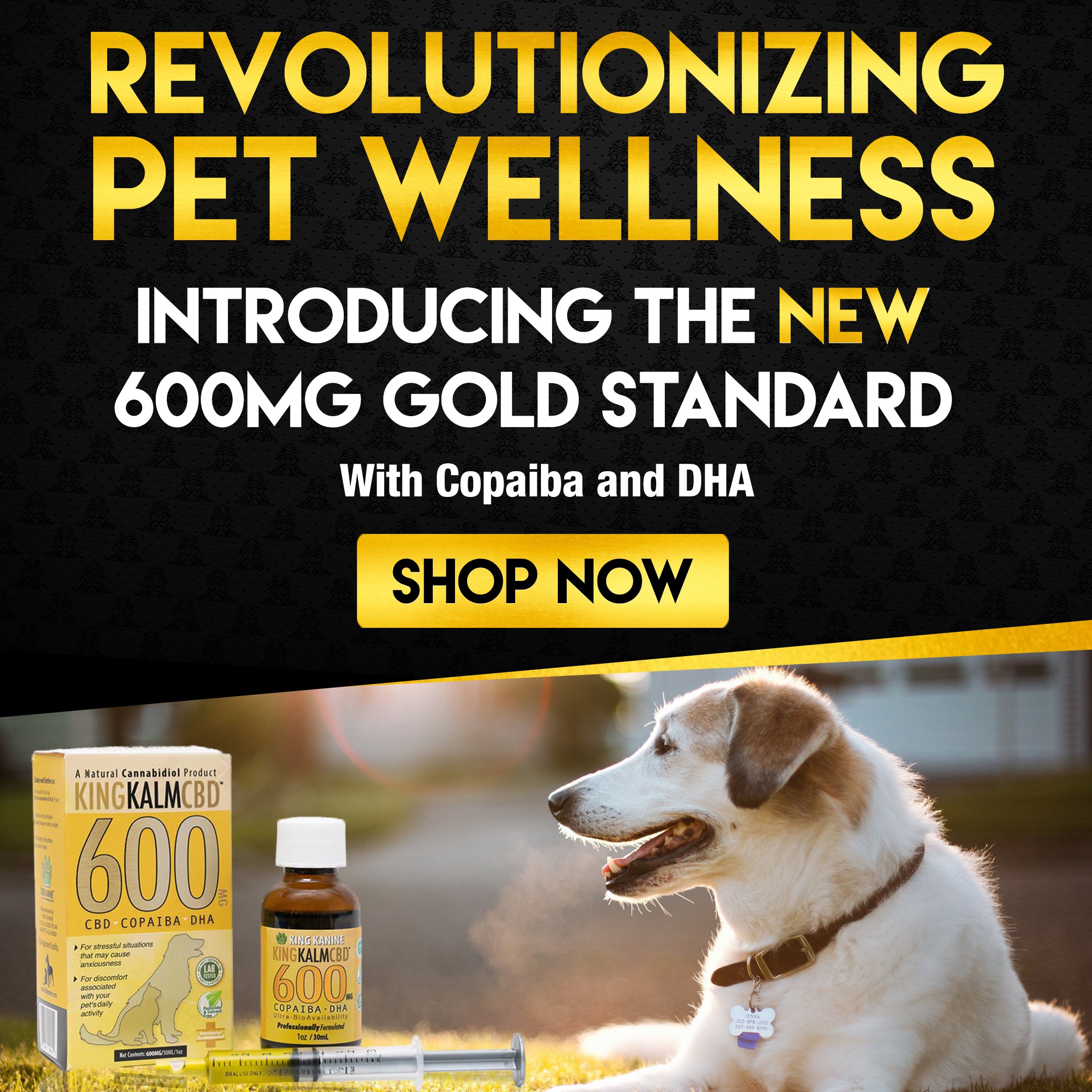 Indicators on Cbd For Large Size Pet And Dog You Should Know