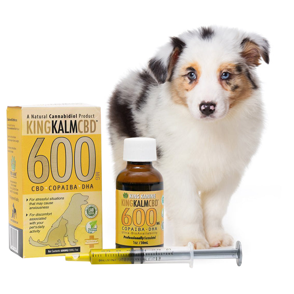 What Does Cbd For Large Size Pet And Dog Do?