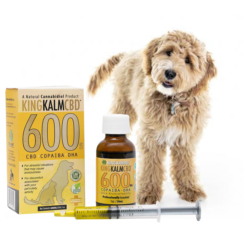 What Does Cbd For Medium Size Dog And Pet Mean?
