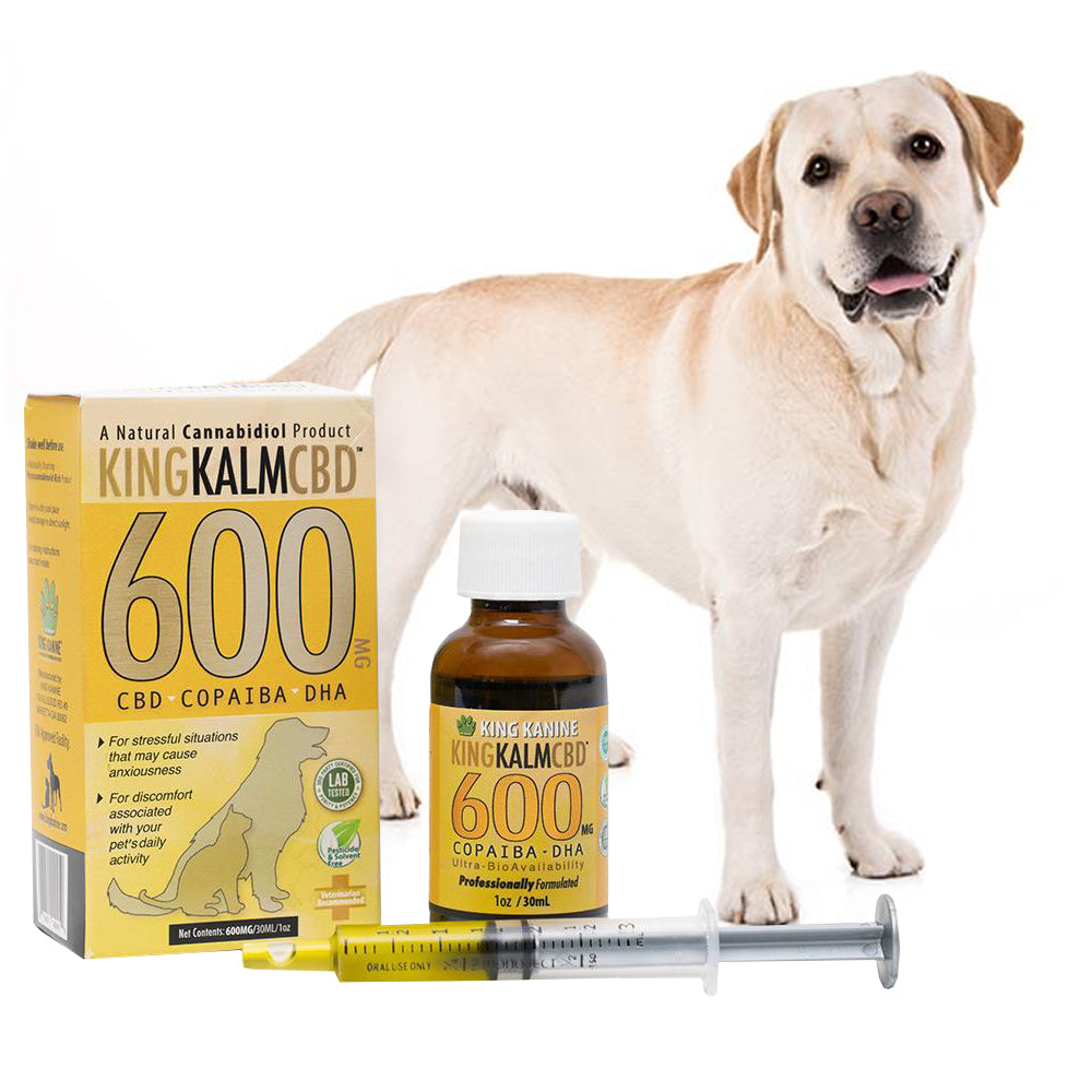 Cbd For Large Size Pet And Dog Can Be Fun For Everyone