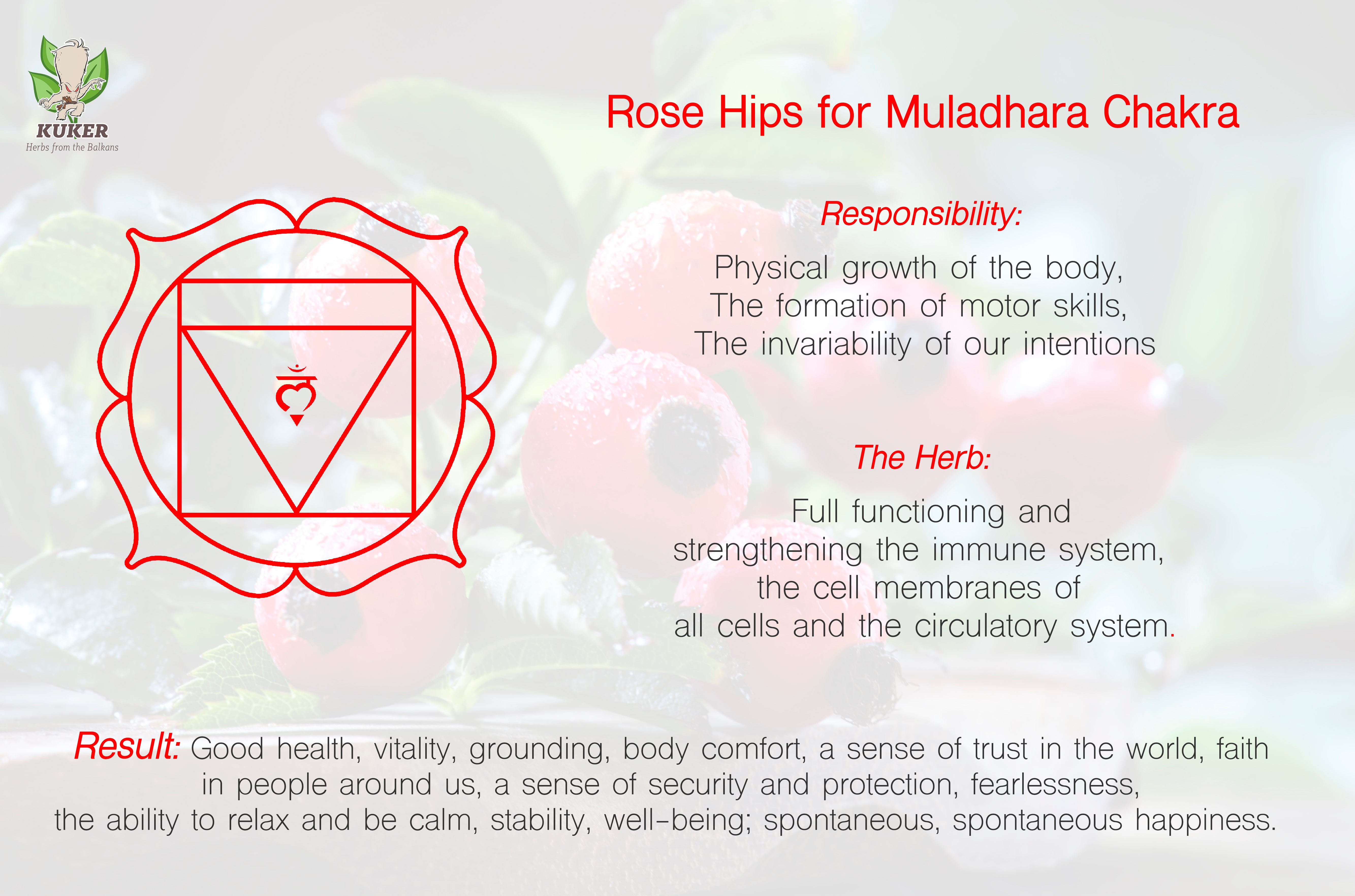 root chakra herbs kuker