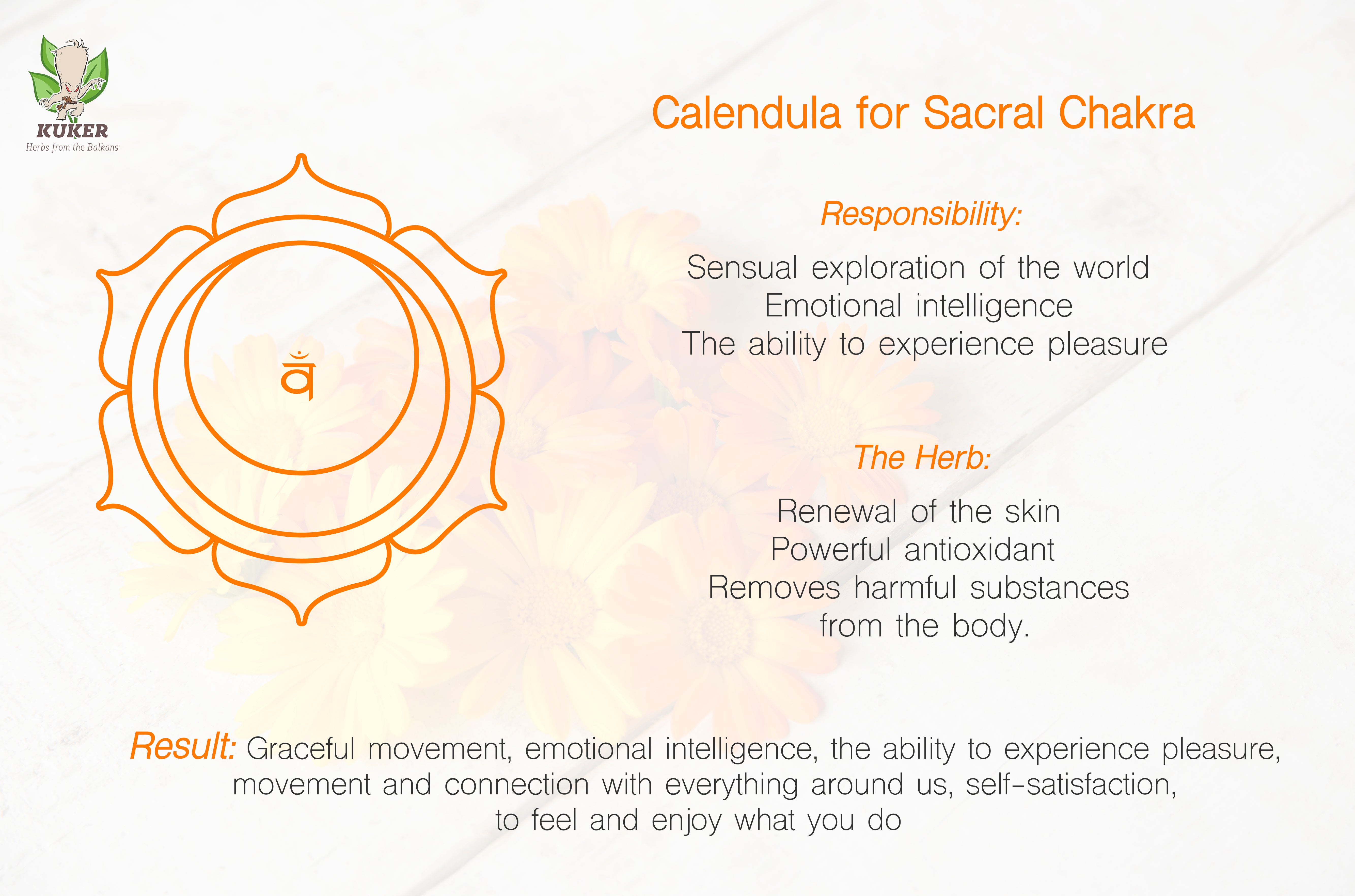 sacral chakra herbs kuker