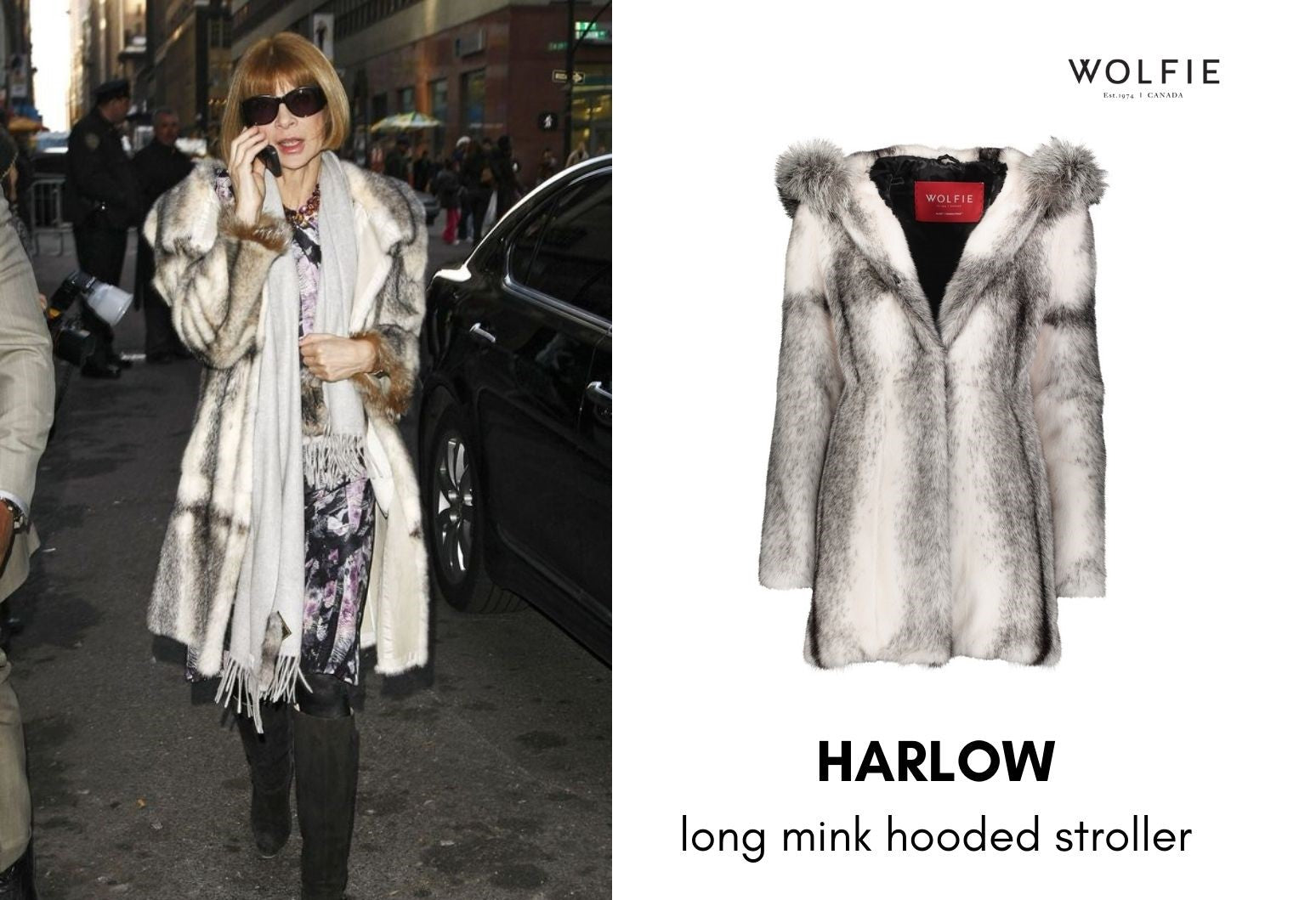 anna wintour mink coat