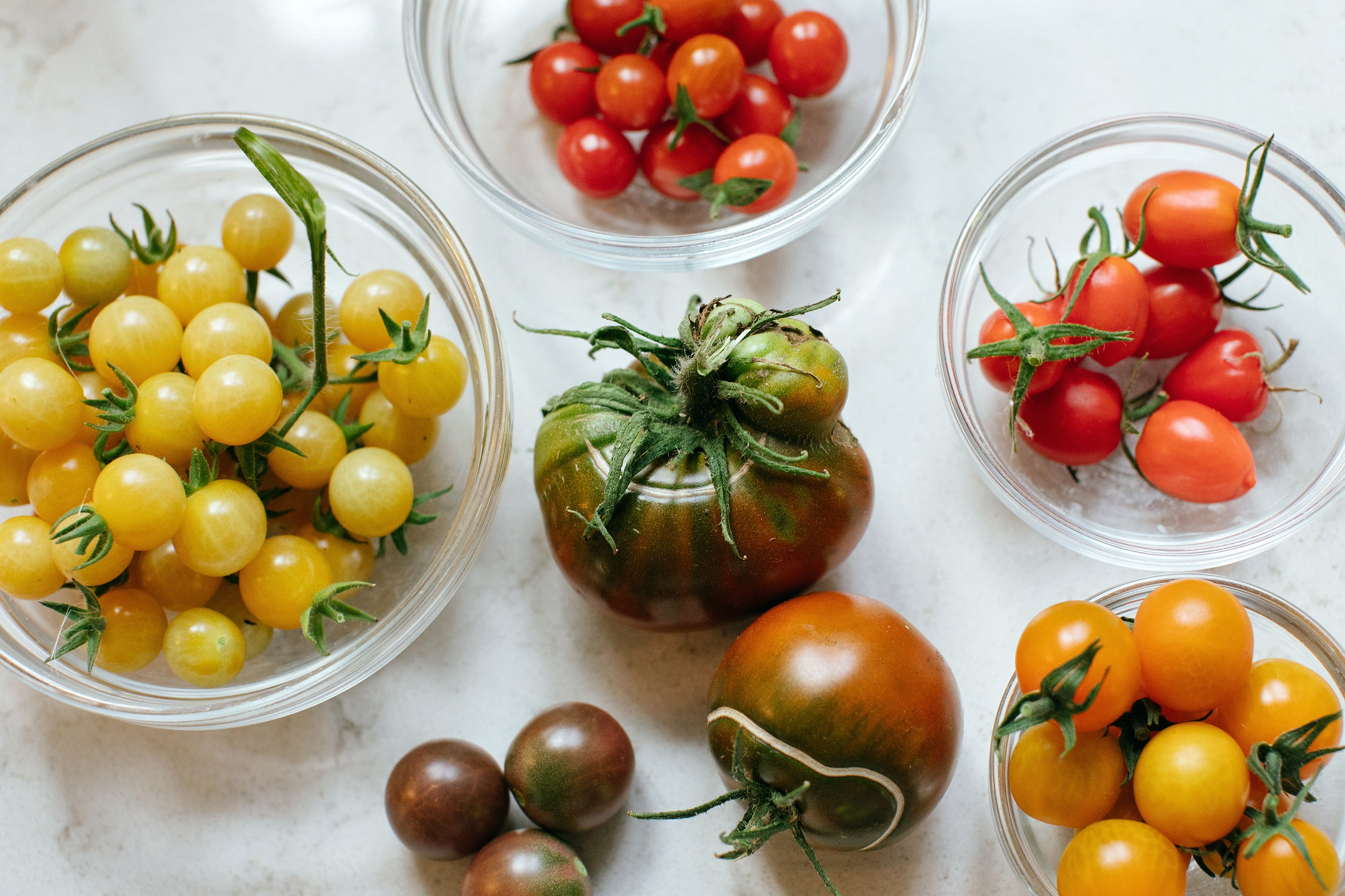 tomato varietals