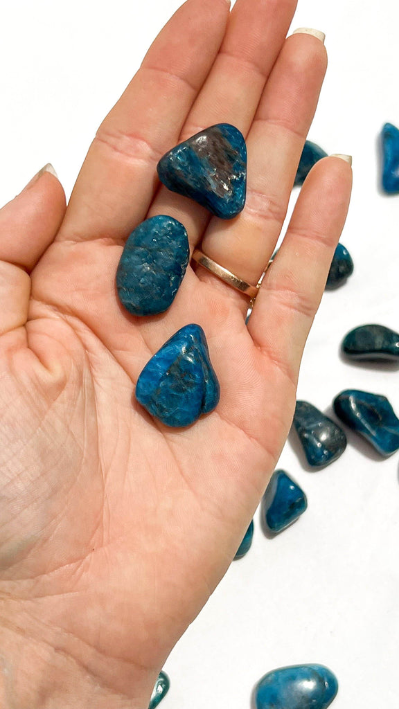 Blue Apatite Tumbles | Small - Unearthed Crystals
