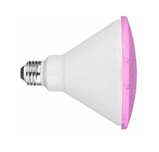 pink flood light bulbs