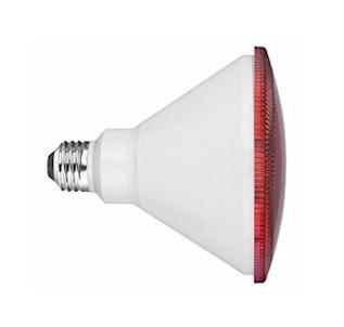 Red LED Flood Light