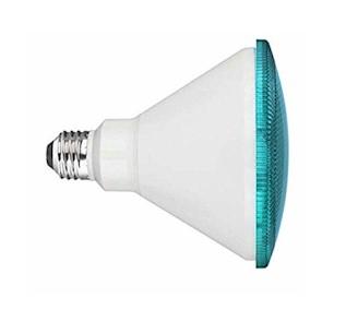 Teal LED Flood Light