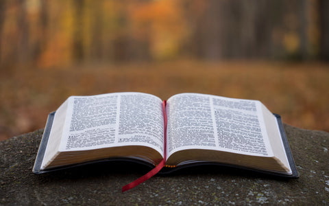 Which is more important, reading a minimum number of pages in the scriptures each day or pondering what you read?