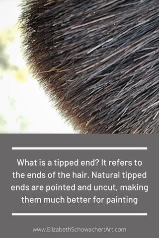 An explanation of Tipped paintbrush ends