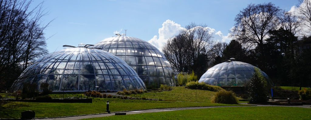 Zurich Botanical Garden