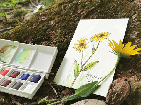 Photo of a watercolor painting of a Rudbeckia hirta flower, leaning against a mossy tree