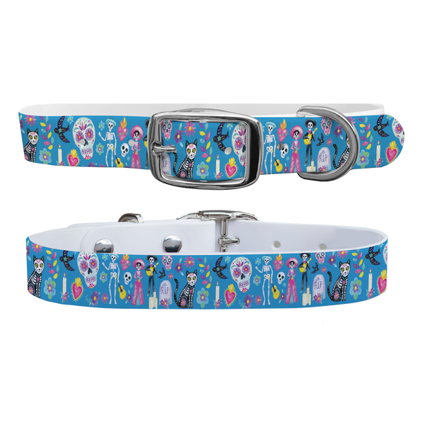 C4 Large Dog Collar