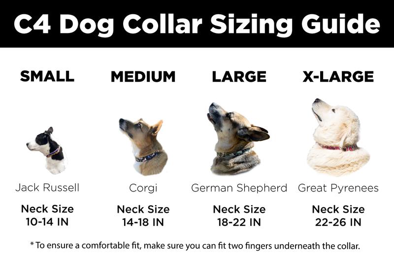 C4 Large Dog Collar