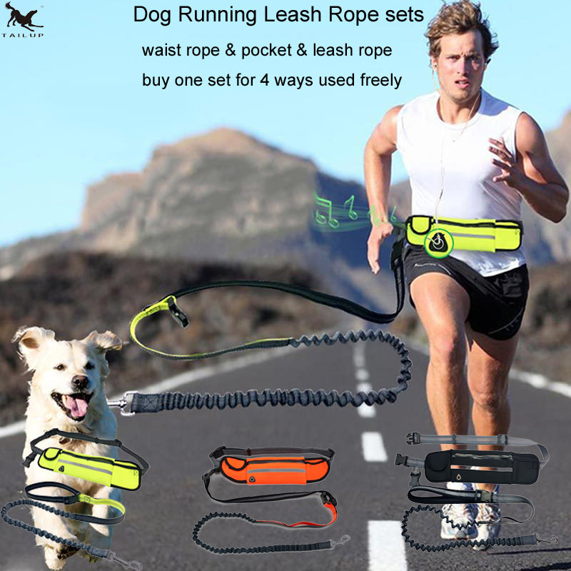 dog running leash