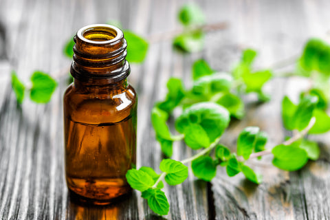 The Nutritional & Hair Care Benefits of Spearmint Oil