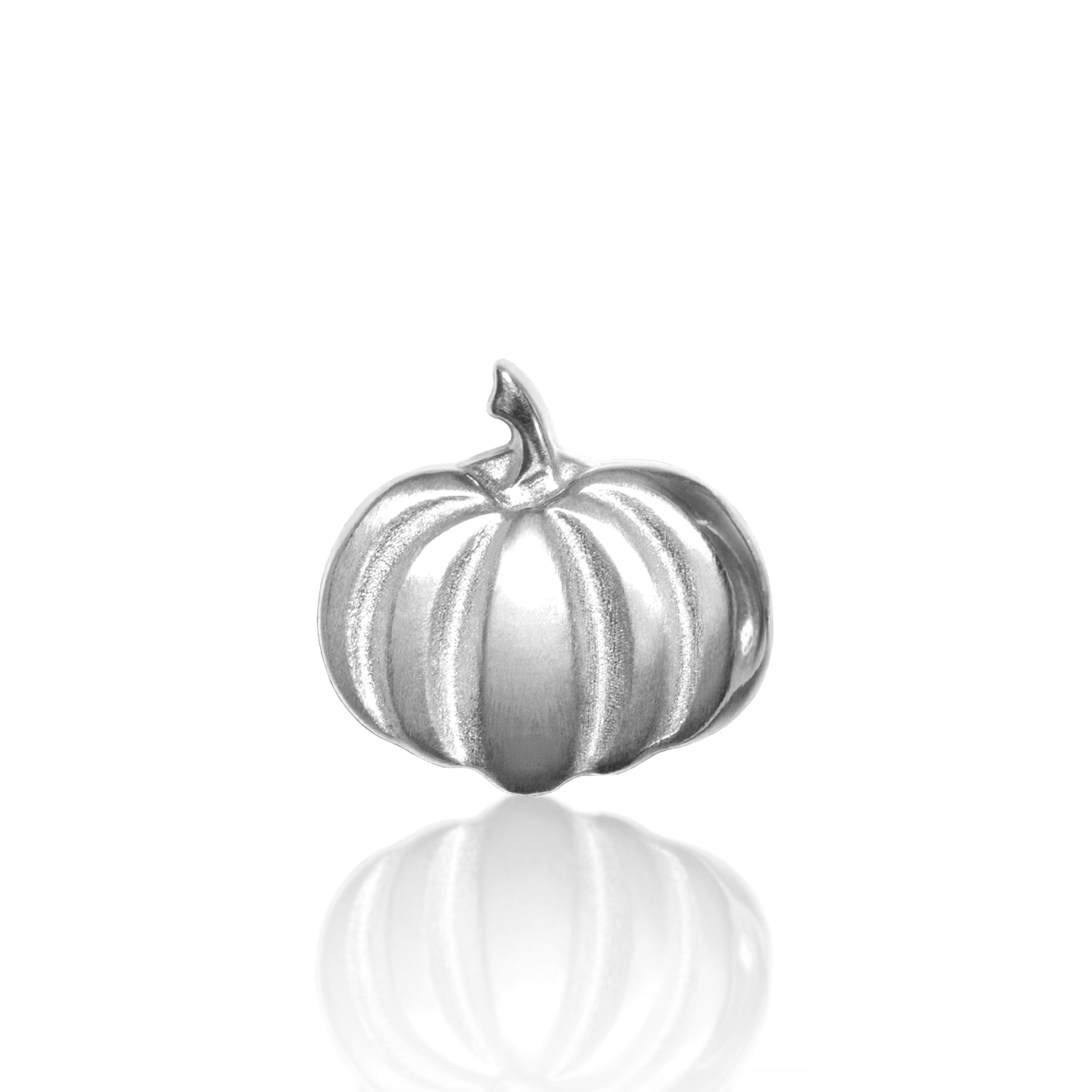 Image of Seasons<br>Pumpkin