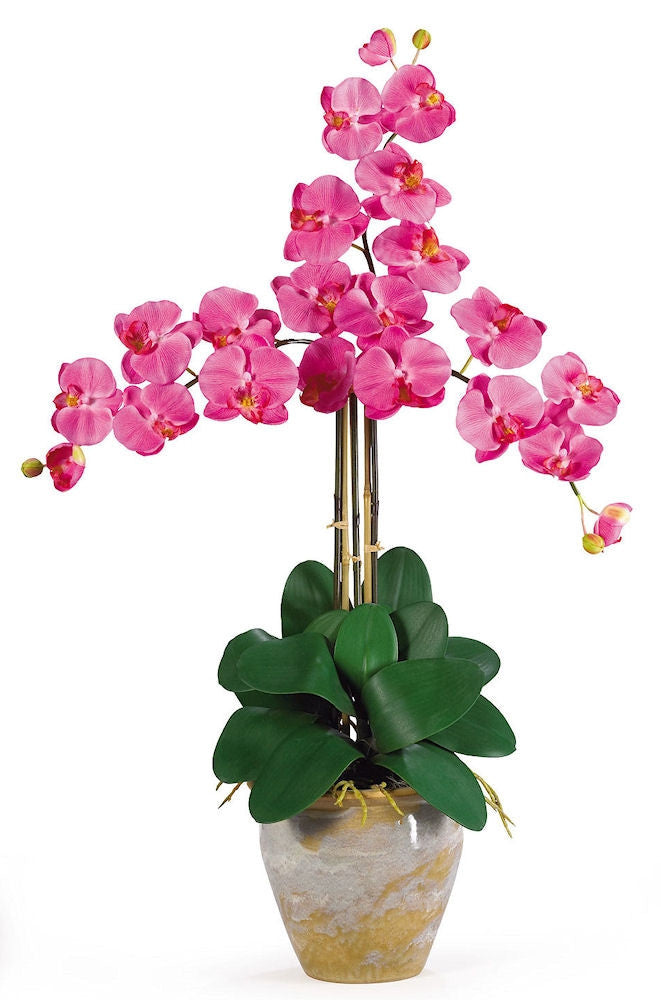 Phalaenopsis Silk Orchid in 8 colors by Nearly Natural | 27 inches ...