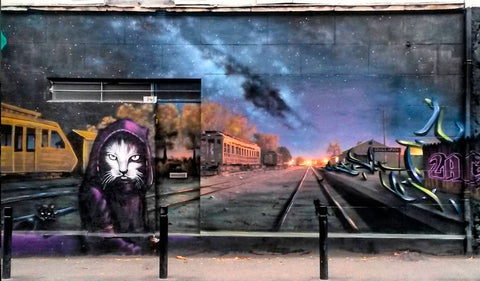Reaper Cat Mural, France