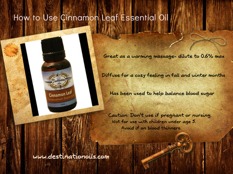 How to Use Cinnnamon Essential Oil by Destination Oils