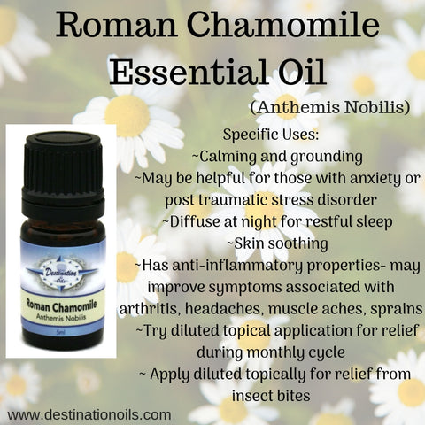 Chamomile Essential Oil Benefits & Uses in Treatment