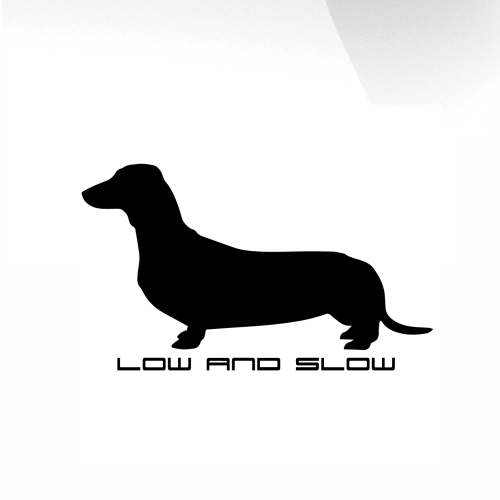 low and slow car decal