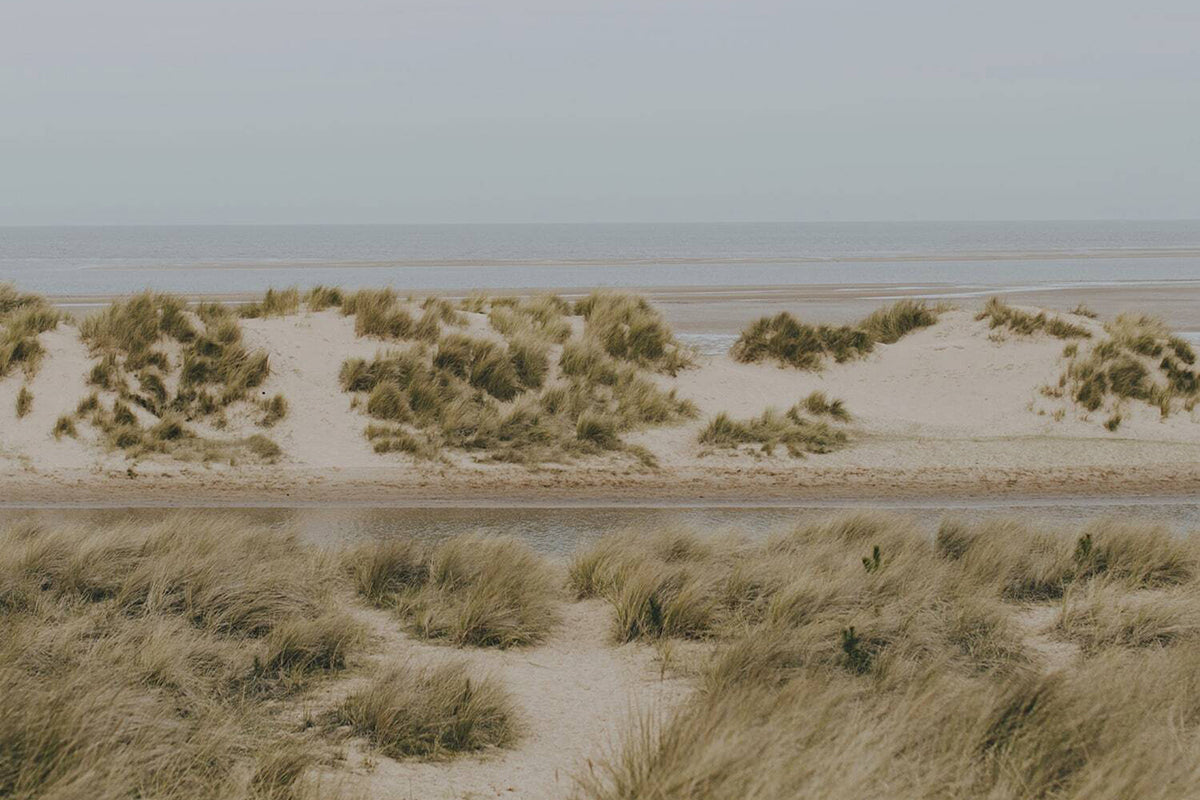 Beach Blackwood Norfolk