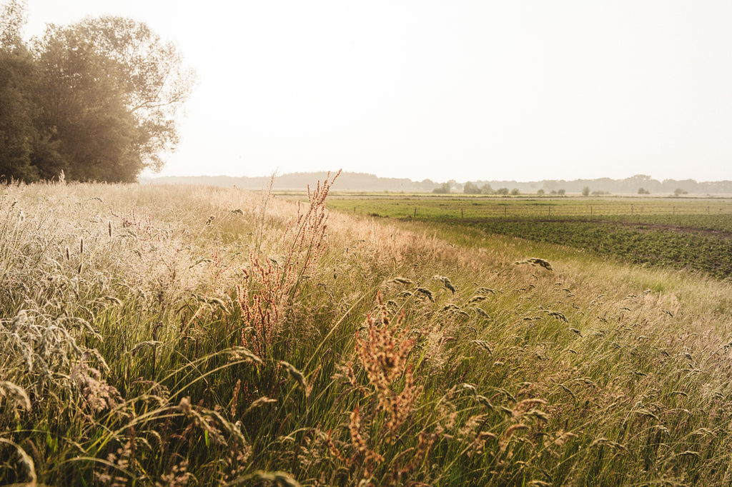 Vechtdal Overijssel slow living