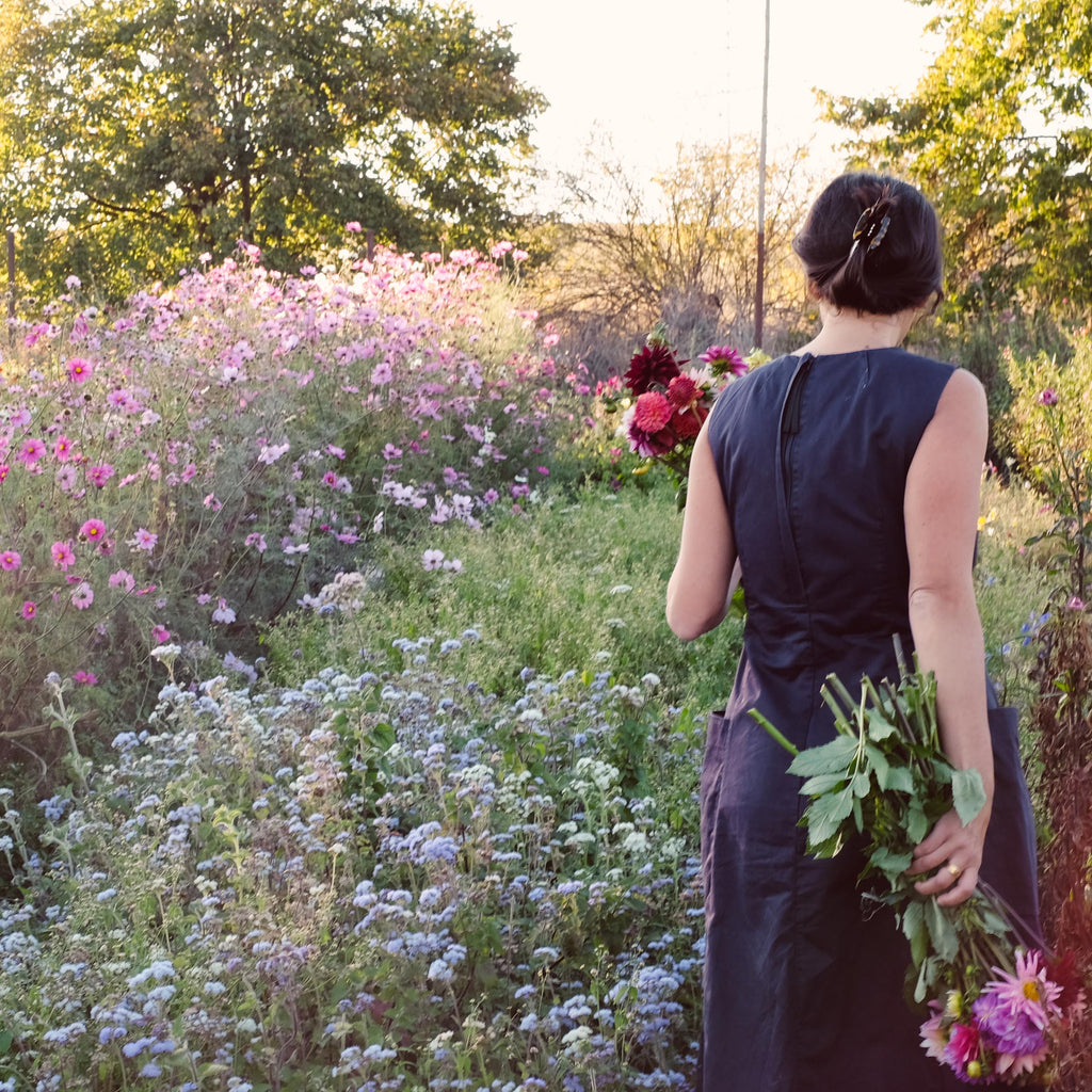 Jora Dahl flower seeds