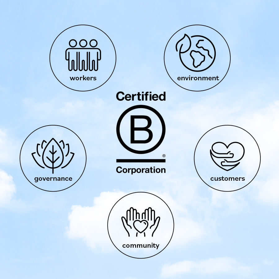 Why Does B Corp Certification Matter to Us?