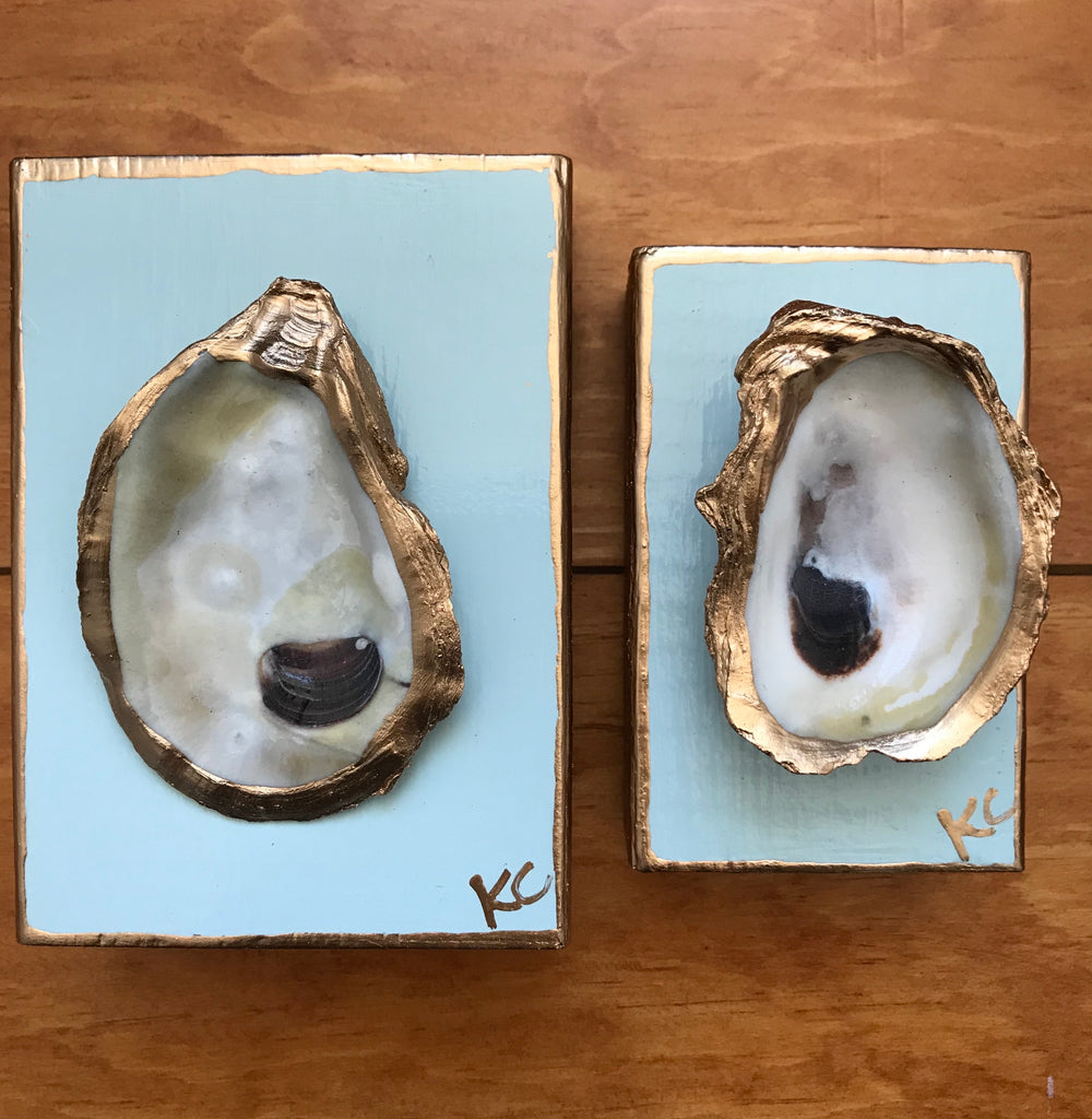 Single Oyster Art Sm Palest Blue Katie Chalk Dee Gee S Gifts Books