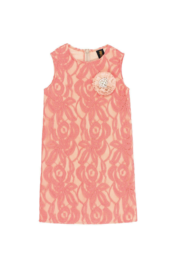 Dusty Pink Lace Sleeveless Spring Summer Party Shift Mommy & Me Dress ...