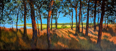 "Harvey's Point, Wellfleet, Mass." 20x45 inch oil on canvas by Rebecca M. Fullerton, 2021. Part of "A Room With A View" at Gallery Twist, Lexington, Massachusetts, February 2021.