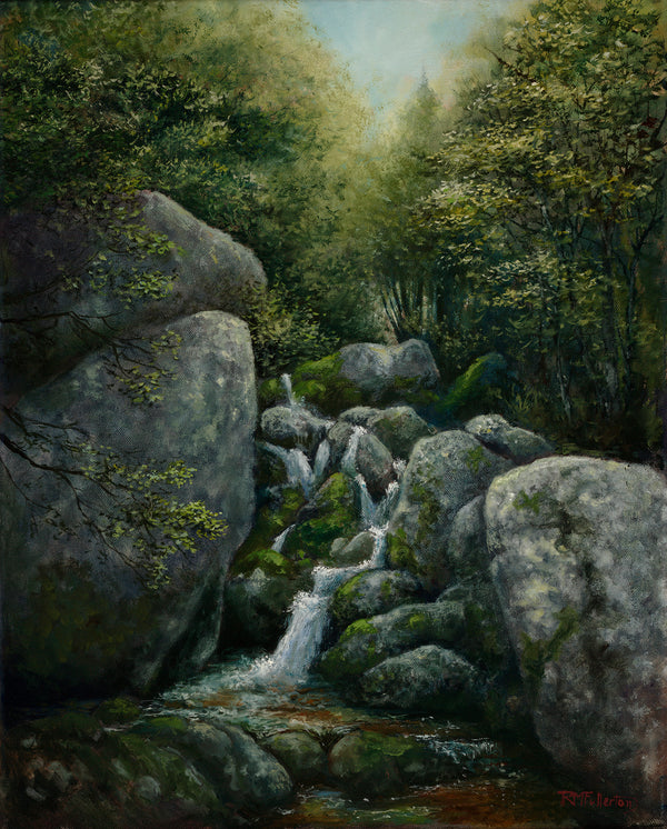 Framed Canvas Art - Moss Rocks by Andy Amos ( scenic & landscapes > Urban > Urban rivers, Lakes & waterfronts art) - 18x26 in