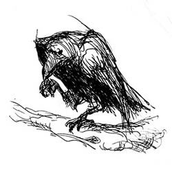 Hugin raven by Aubrey Brown