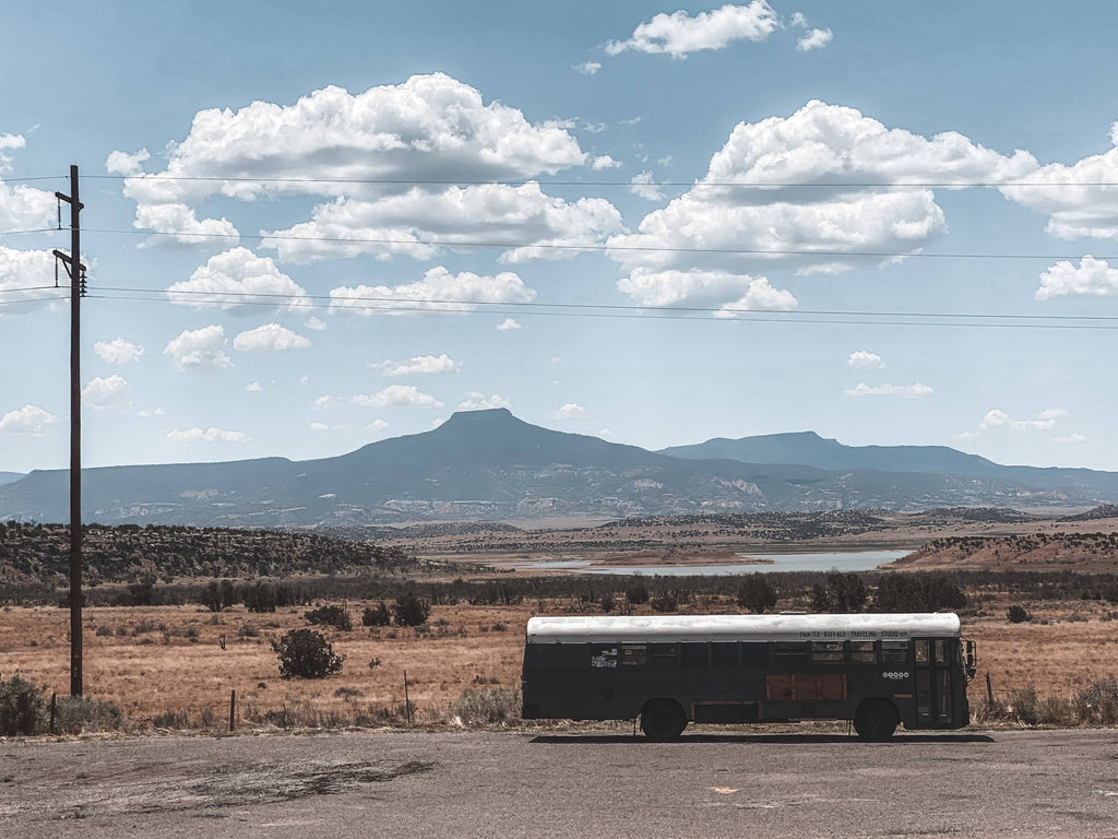 painted buffalo traveling studio and the school bus