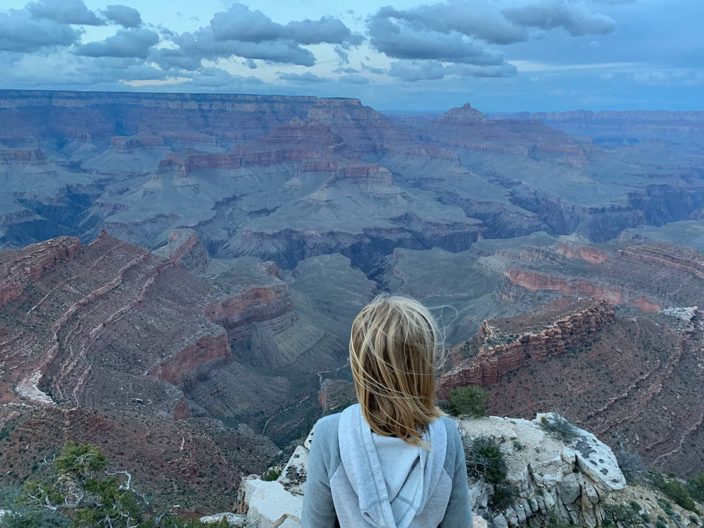 Tiny Shiny Home Grand Canyon