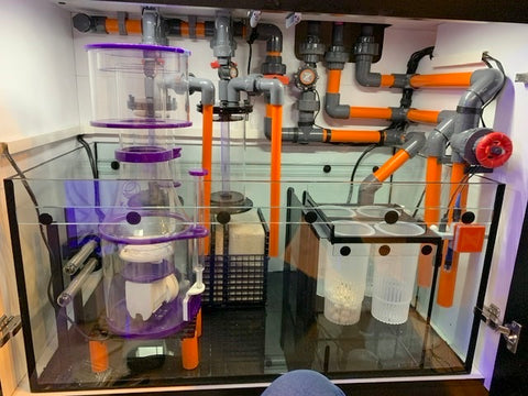 premium color pvc reef plumbing